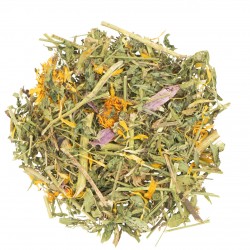 Jr Farm Echinacea e trifoglio di erba medica 100 gr NEW